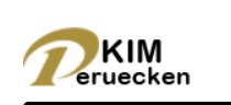 Hochwertige Perück für Frauen