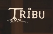Tribu Music Store