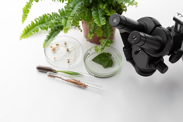 Naturwissenschaften (Chemie, Physik, Biologie)