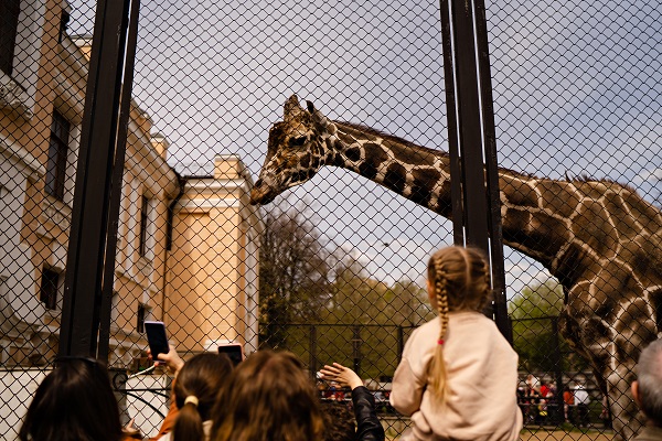 Der Berliner Zoo