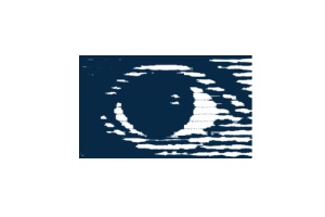 Film School Hamburg, logo