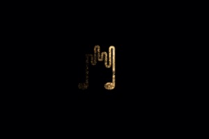 Nora Rudolf, logo
