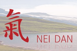 Nei Dan, logo