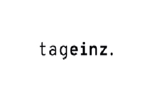 Berufsberater - tageinz-logo
